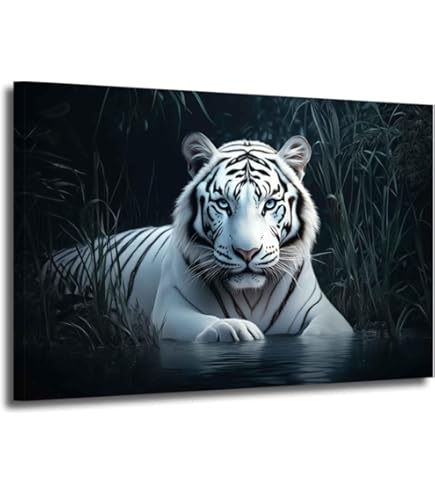 Amazon.co.jp: トライエックス ポスター ホワイトタイガー PP-30282